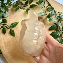Load image into Gallery viewer, Druzy Agate Tortoise Carving|Hand Carved