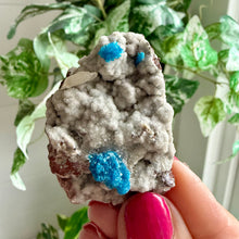 Load image into Gallery viewer, Blue Cavansite on Matrix from India