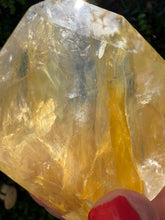 Load image into Gallery viewer, Golden Healer Freeform from Brazil