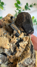 Load image into Gallery viewer, Black Tourmaline on Matrix with Quartz from Erongo