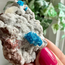 Load image into Gallery viewer, Blue Cavansite on Matrix from India