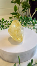 Load image into Gallery viewer, Golden Healer Quartz Freeform from Brazil