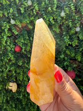 Load image into Gallery viewer, Golden Healer Freeform from Brazil