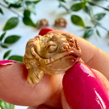 Load image into Gallery viewer, Alashan Agate Money Frog Carving