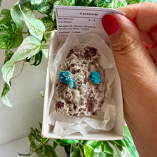 Load image into Gallery viewer, Blue Cavansite on Matrix from India