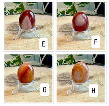 Load image into Gallery viewer, Carnelian Egg with Acrylic Stand