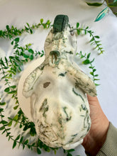 Load image into Gallery viewer, Tree Agate Skull with Elephant|Hand Carved|Statement Decor