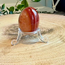 Load image into Gallery viewer, Carnelian Egg with Acrylic Stand