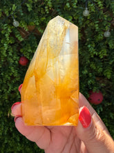 Load image into Gallery viewer, Golden Healer Freeform from Brazil