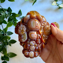 Load image into Gallery viewer, Carnelian Money Frog|Three Legged Money Toad