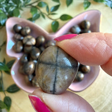 Load image into Gallery viewer, Chiastolite Tumble Stones