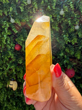 Load image into Gallery viewer, Golden Healer Freeform from Brazil