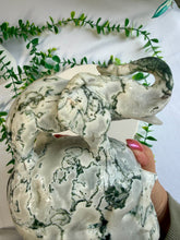 Load image into Gallery viewer, Tree Agate Skull with Elephant|Hand Carved|Statement Decor