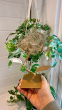 Load image into Gallery viewer, Smokey Quartz Rose Carving on Custom Stand|Home Decor