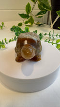 Load image into Gallery viewer, Druzy Agate Tortoise