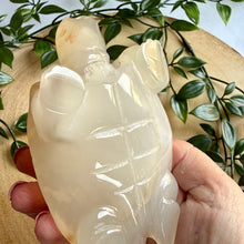 Load image into Gallery viewer, Druzy Agate Tortoise Carving|Hand Carved