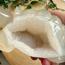 Load image into Gallery viewer, Druzy Agate Tortoise Carving|Hand Carved