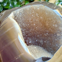 Load image into Gallery viewer, Druzy Agate Goat Head Carving