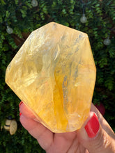 Load image into Gallery viewer, Golden Healer Freeform from Brazil