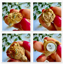 Load image into Gallery viewer, Alashan Agate Money Frog Carving