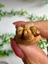 Load image into Gallery viewer, Alashan Agate Fish Carvings