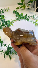 Load image into Gallery viewer, Druzy Agate Tortoise