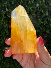 Load image into Gallery viewer, Golden Healer Freeform from Brazil