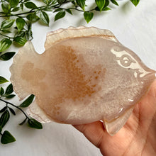 Load image into Gallery viewer, Druzy Agate Fish on Custom Gold Stand