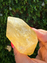 Load image into Gallery viewer, Golden Healer Freeform from Brazil