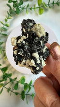 Load image into Gallery viewer, Black Tourmaline Specimen from Erongo