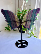 Load image into Gallery viewer, Rainbow Fluorite Butterfly Wings on Black Stand
