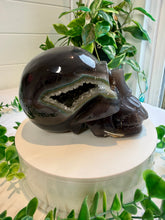 Load image into Gallery viewer, Agate Skull with Druzy
