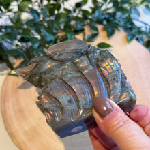 Load image into Gallery viewer, Labradorite Dolphins Carving
