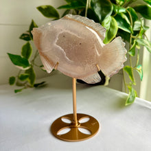 Load image into Gallery viewer, Druzy Agate Fish on Custom Gold Stand