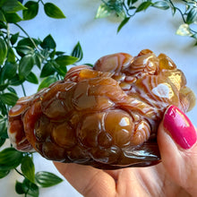 Load image into Gallery viewer, Carnelian Money Frog|Three Legged Money Toad