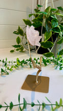 Load image into Gallery viewer, Rose Quartz Rose Carving on Custom Stand|Home Decor