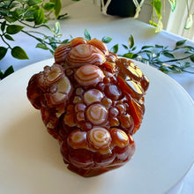 Load image into Gallery viewer, Carnelian Money Frog|Three Legged Money Toad