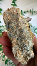 Load image into Gallery viewer, Black Tourmaline on Matrix with Quartz from Erongo