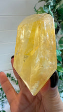 Load image into Gallery viewer, Golden Healer Freeform from Brazil
