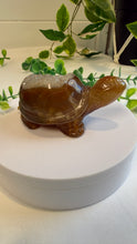 Load image into Gallery viewer, Druzy Agate Tortoise