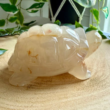 Load image into Gallery viewer, Druzy Agate Tortoise Carving|Hand Carved