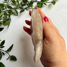 Load image into Gallery viewer, Druzy Agate Fish on Custom Gold Stand
