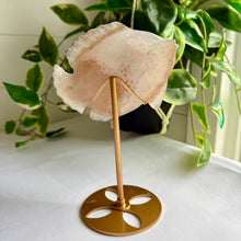 Load image into Gallery viewer, Druzy Agate Fish on Custom Gold Stand