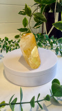 Load image into Gallery viewer, Golden Healer Freeform from Brazil