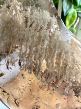 Load image into Gallery viewer, High Quality Smokey Quartz Moon with Inclusions on Stand