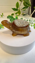 Load image into Gallery viewer, Druzy Agate Tortoise
