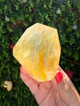 Load image into Gallery viewer, Golden Healer Freeform from Brazil