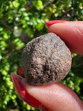 Load image into Gallery viewer, Moqui Marbles