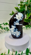 Load image into Gallery viewer, Orca Agate Freeform