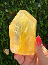 Load image into Gallery viewer, Golden Healer Freeform from Brazil